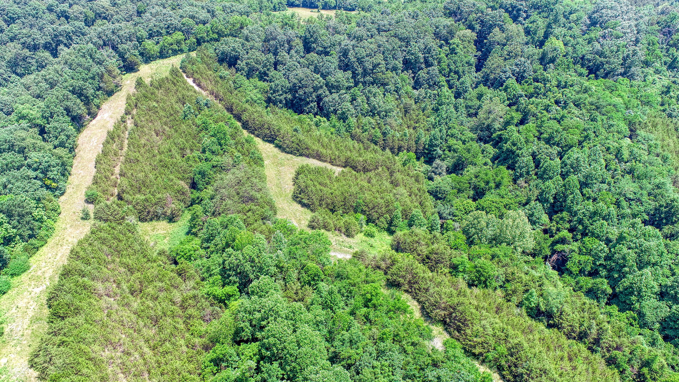 2120 Oakwood Road Midway, TN 37809 - Photo 5 of 38 Carter. 2120 Oakwood. Midway MLSa (22 o