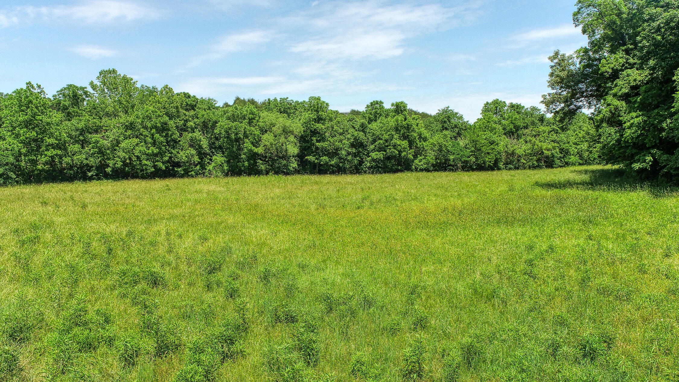 2120 Oakwood Road Midway, TN 37809 - Photo 7 of 38 Carter. 2120 Oakwood. Midway MLSa (15 o