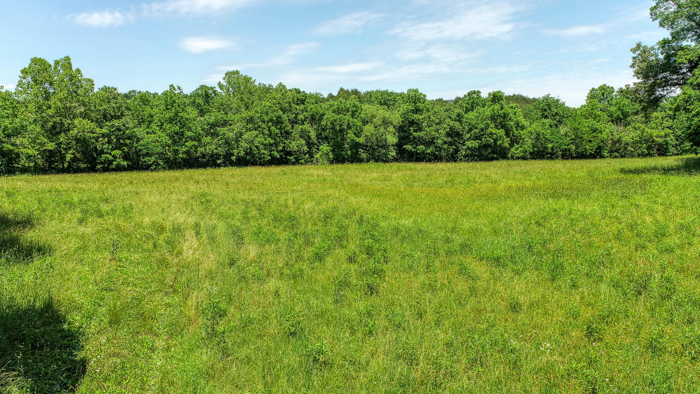 2120 Oakwood Road Midway, TN 37809 - Photo 8 of 38 Carter. 2120 Oakwood. Midway MLSa (10 o