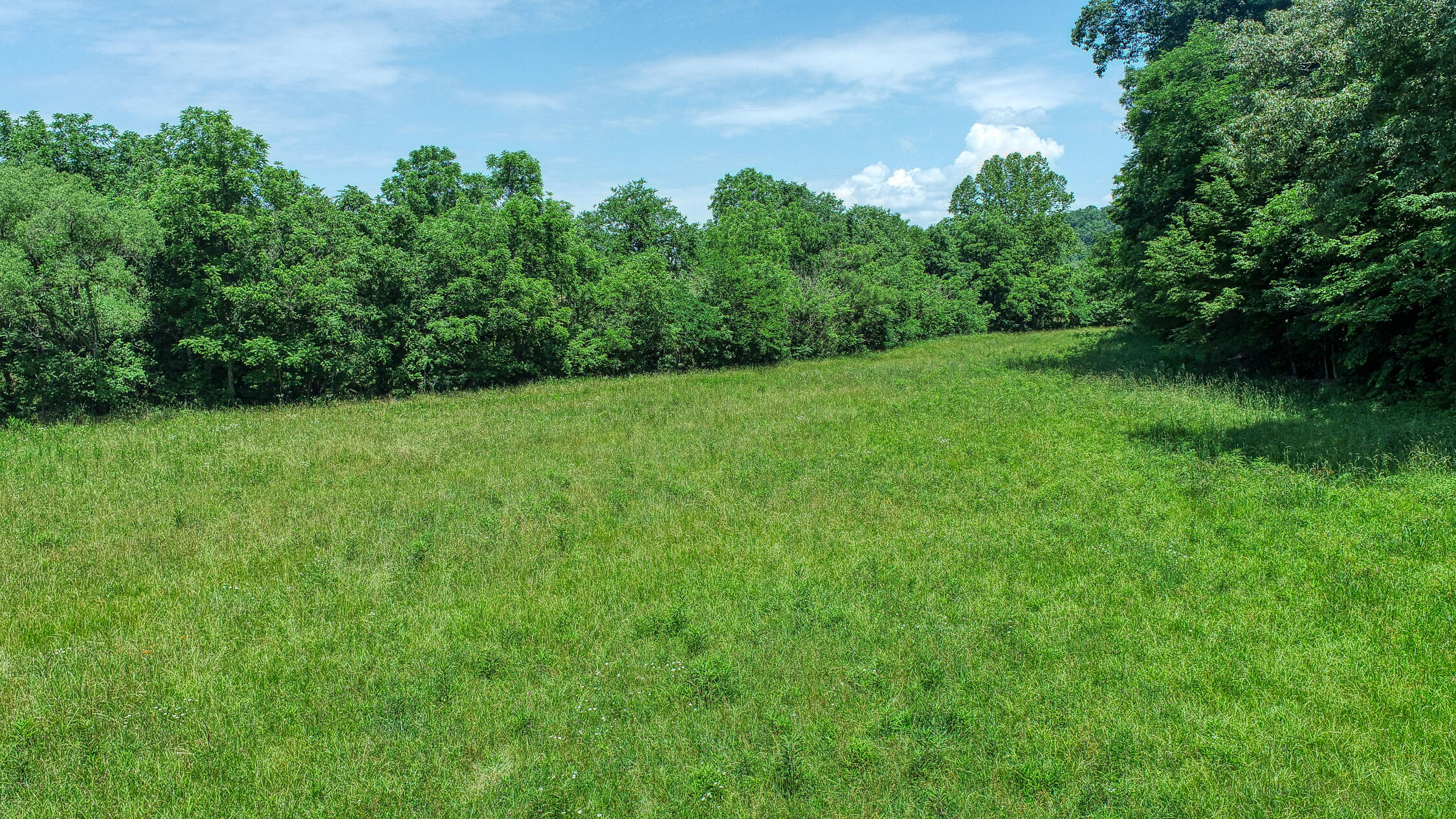 2120 Oakwood Road Midway, TN 37809 - Photo 9 of 38 Carter. 2120 Oakwood. Midway MLSa (11 o