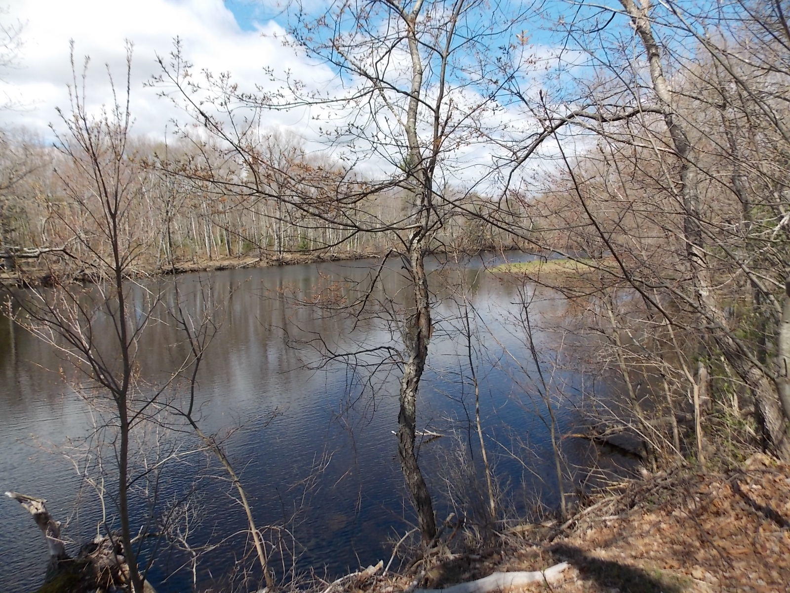 1040 Warren Hill Road Palmyra, ME 04965 - Photo 11 of 38 11