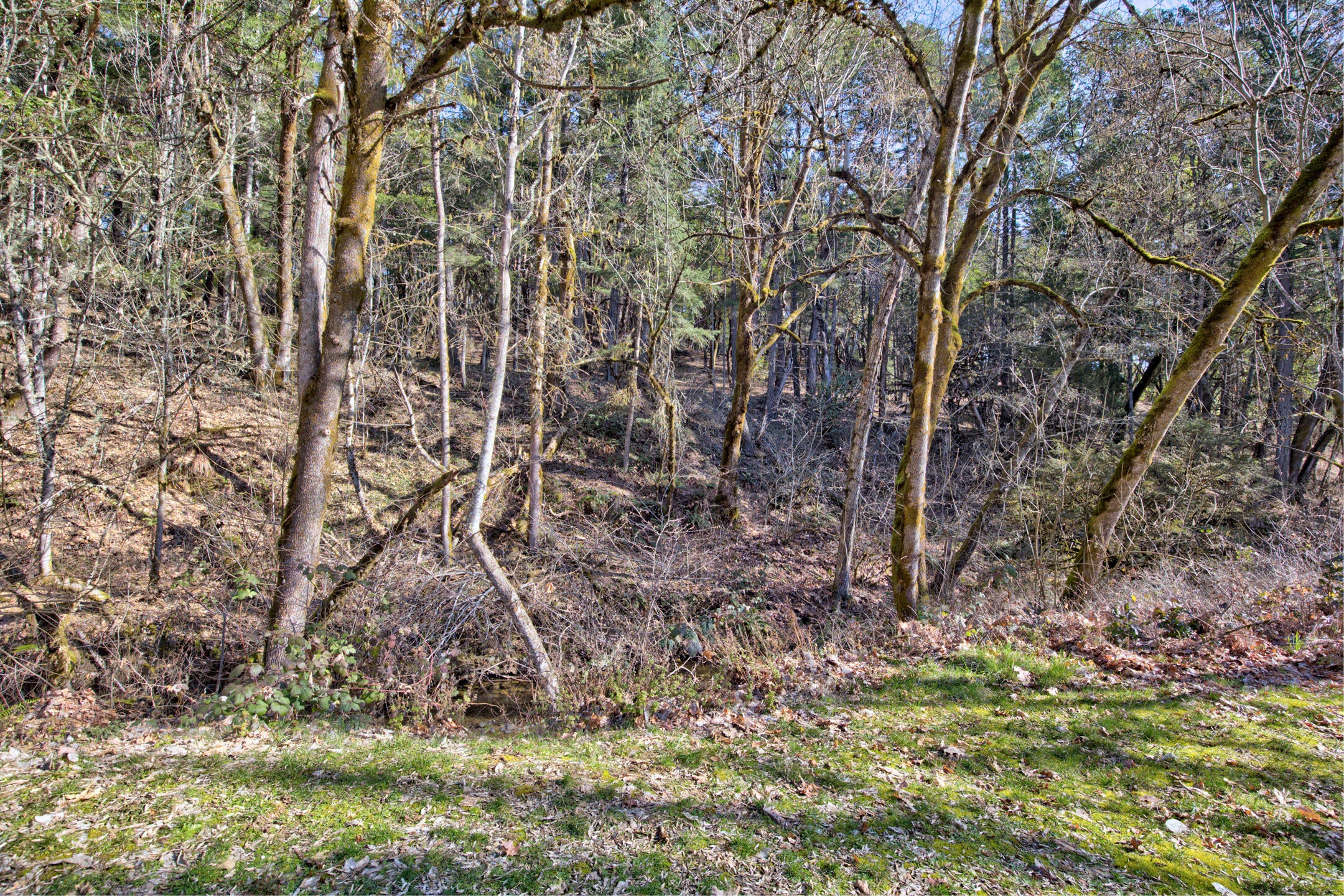 3704 Quartz Creek Road Merlin, OR 97532 - Photo 24 of 51 0R1A5864_5_6_7_8