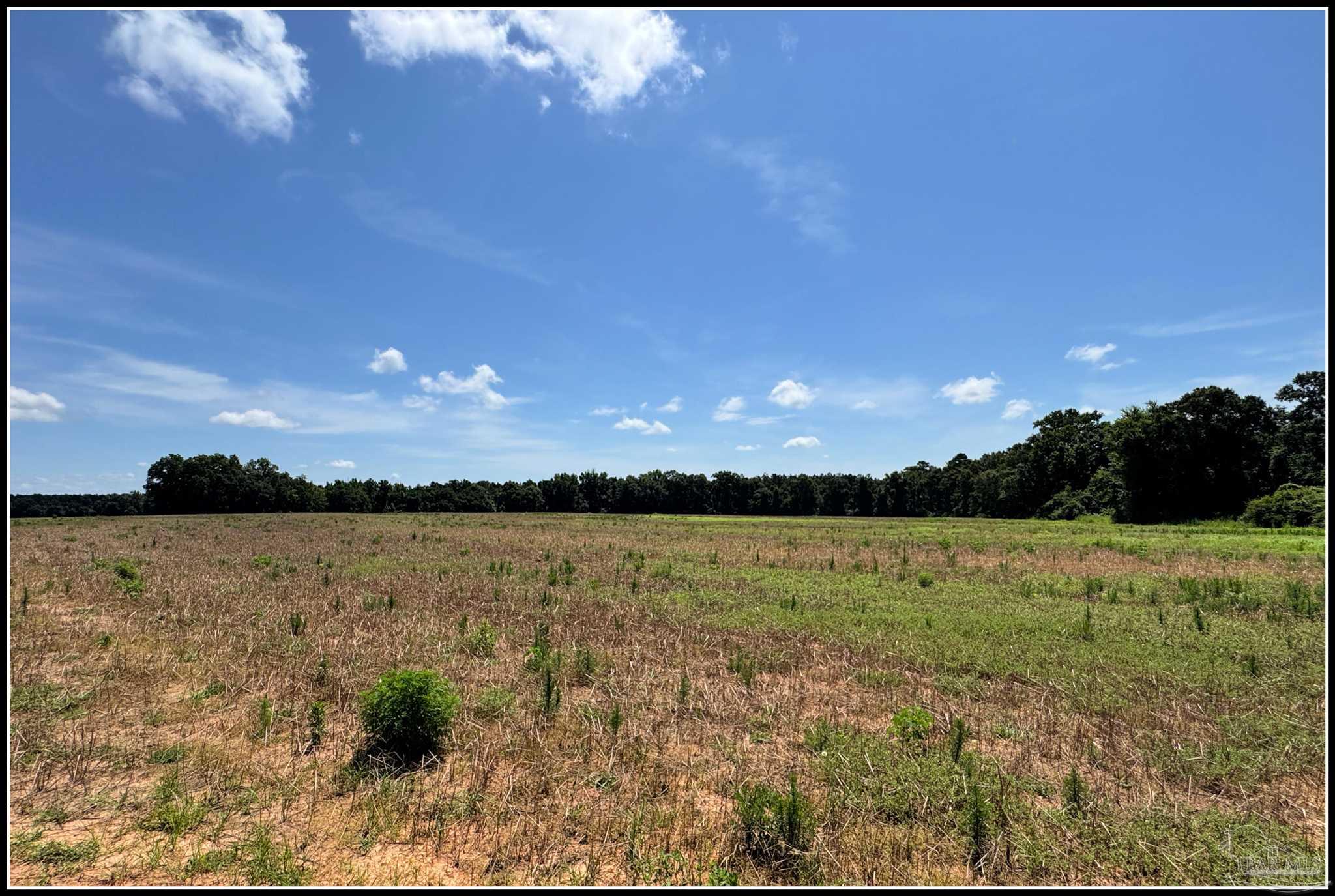 9150 3 Hollow Road Jay, FL 32565 - Photo 10 of 11
