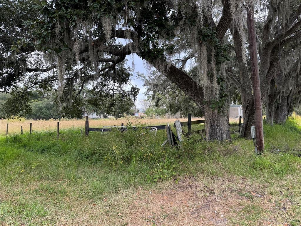 0 Cason Road Plant City, FL 33566 - Photo 1 of 11 a view of backyard with green space