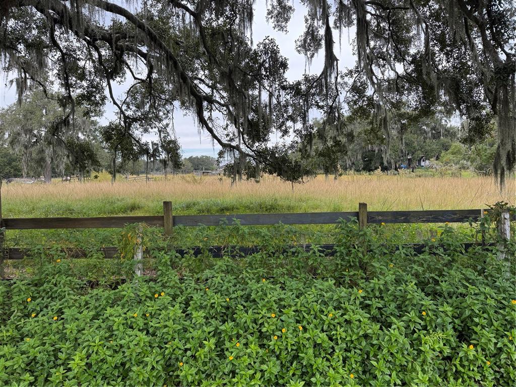 0 Cason Road Plant City, FL 33566 - Photo 4 of 11 a view of a lake