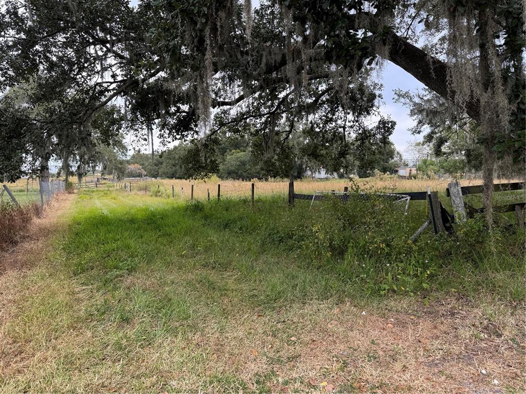 0 Cason Road Plant City, FL 33566 - Photo 5 of 11 a view of backyard with green space