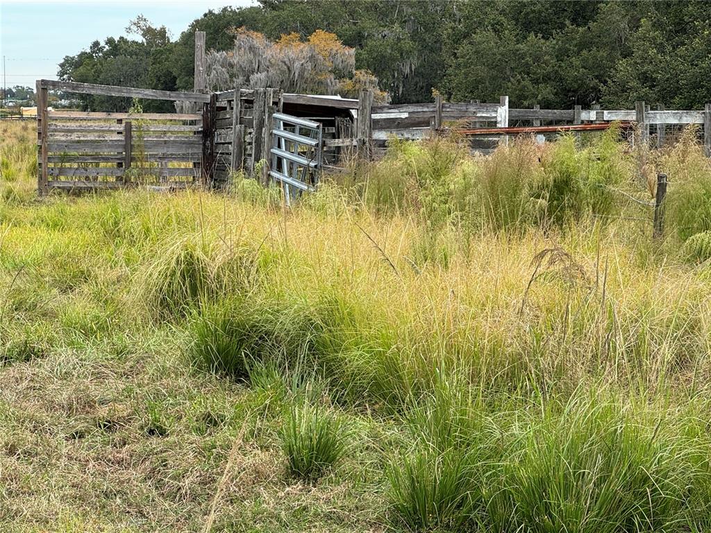0 Cason Road Plant City, FL 33566 - Photo 7 of 11 a view of a swimming pool with a patio