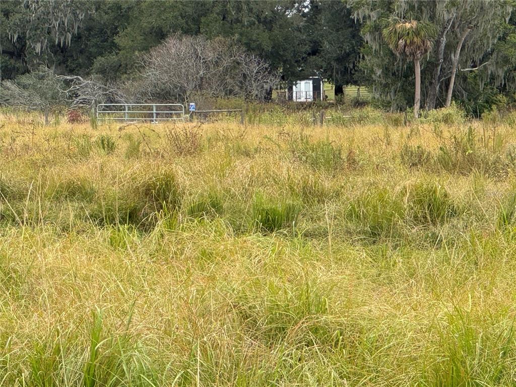0 Cason Road Plant City, FL 33566 - Photo 8 of 11 a view of swimming pool from a lake view