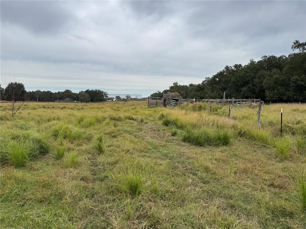 0 Cason Road Plant City, FL 33566 - Photo 9 of 11 a view of a lake with houses in the back