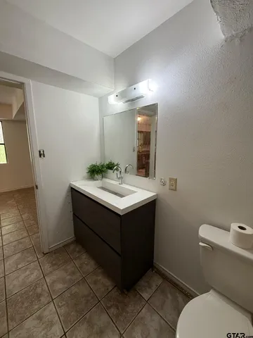 a bathroom with a sink vanity and toilet