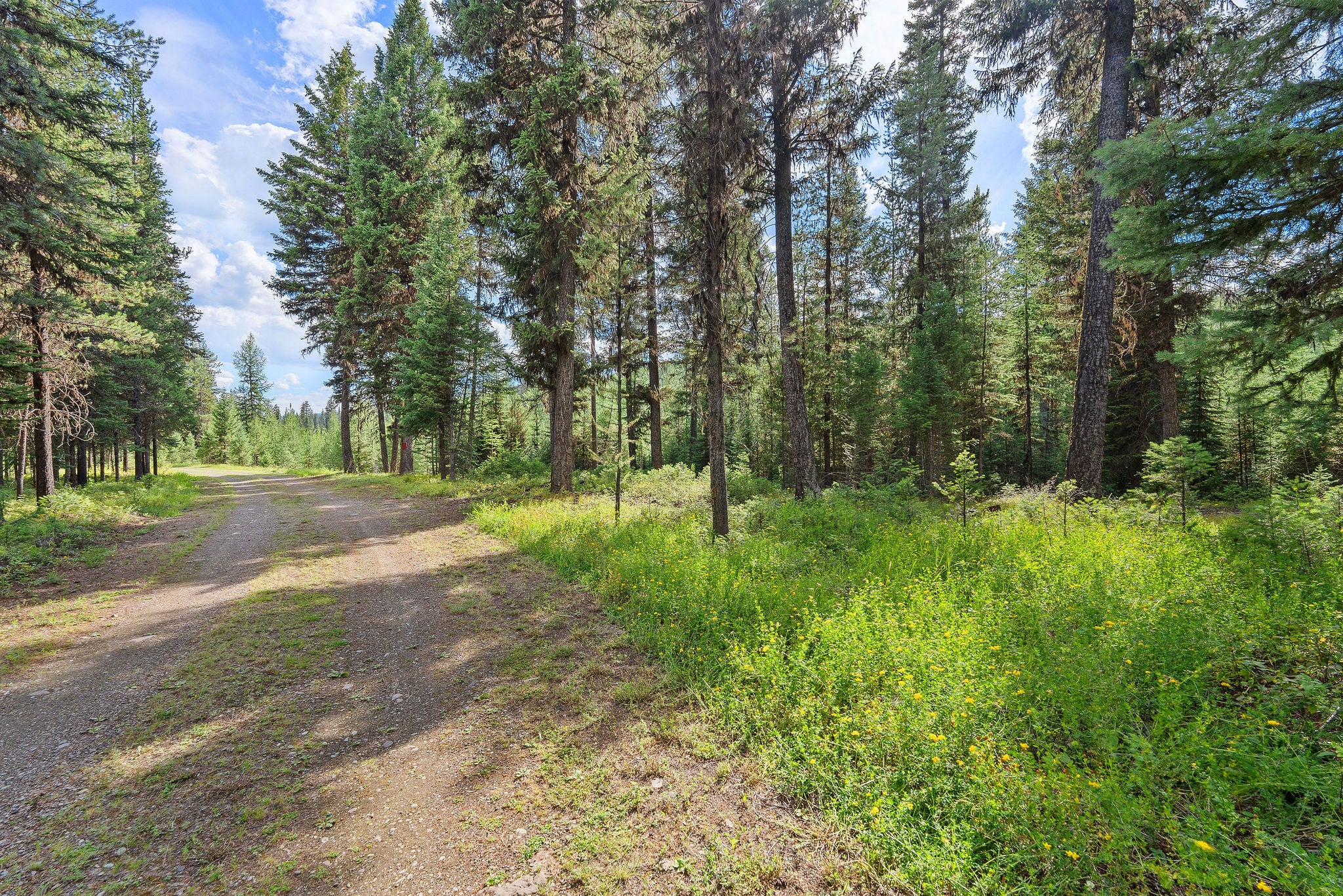 14000 North Fork Road Polebridge, MT 59928 - Photo 59 of 66 Gallery Image 59