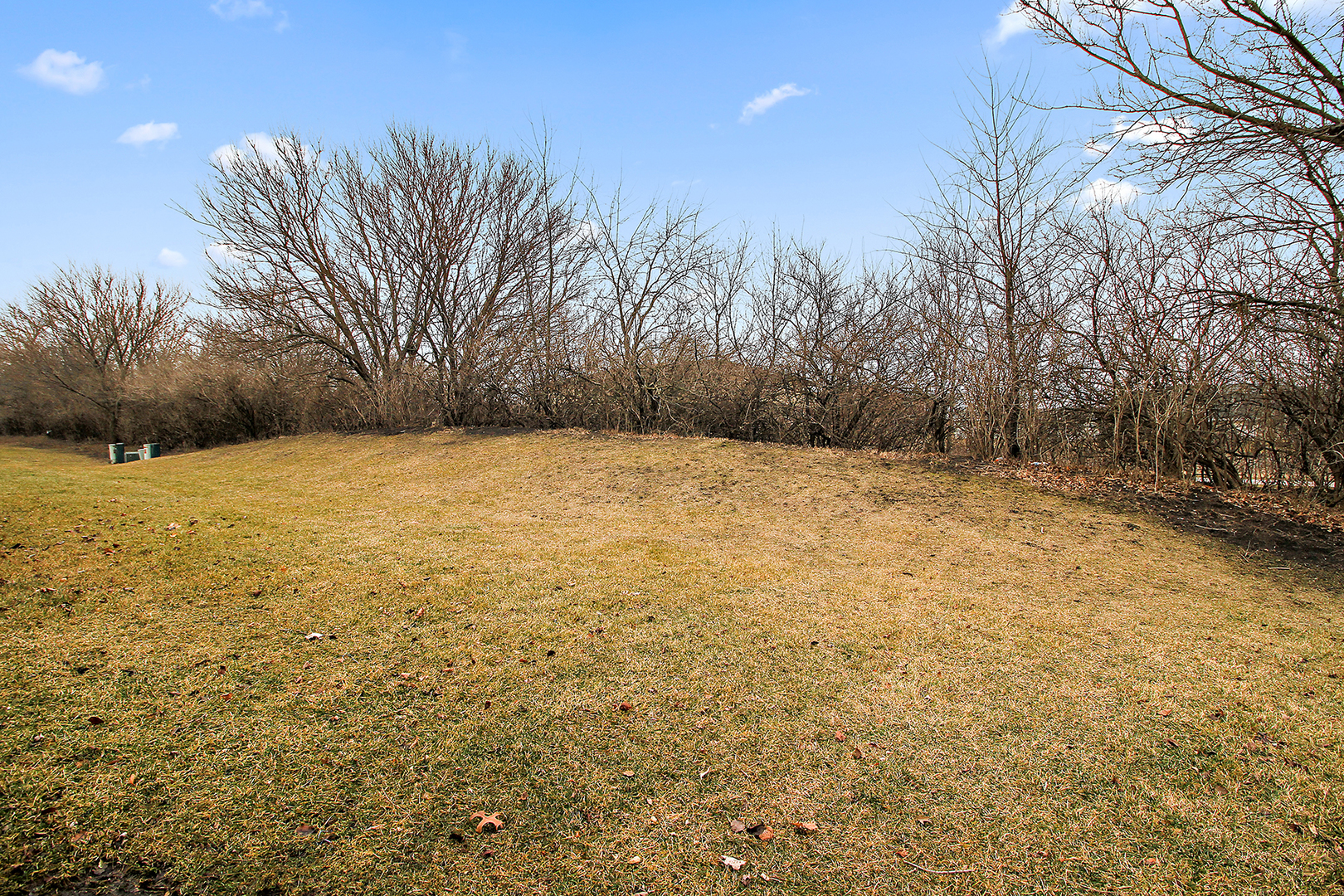 25265 Faraday Road, Unit 25265 Manhattan, IL 60442 - Photo 15 of 15 a view of yard with trees