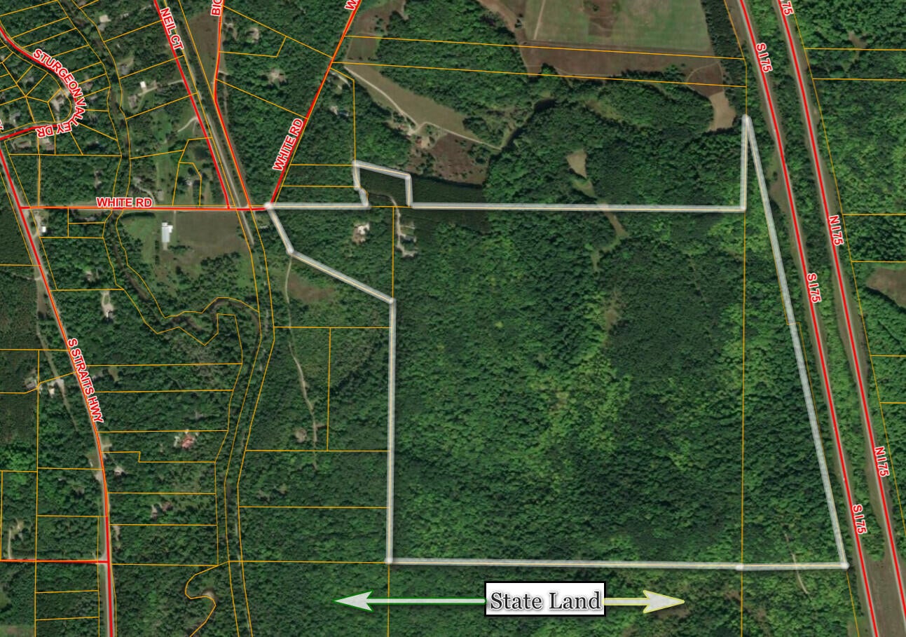8453-8455 White Road Indian River, MI 49749 - Photo 46 of 56 aerial
