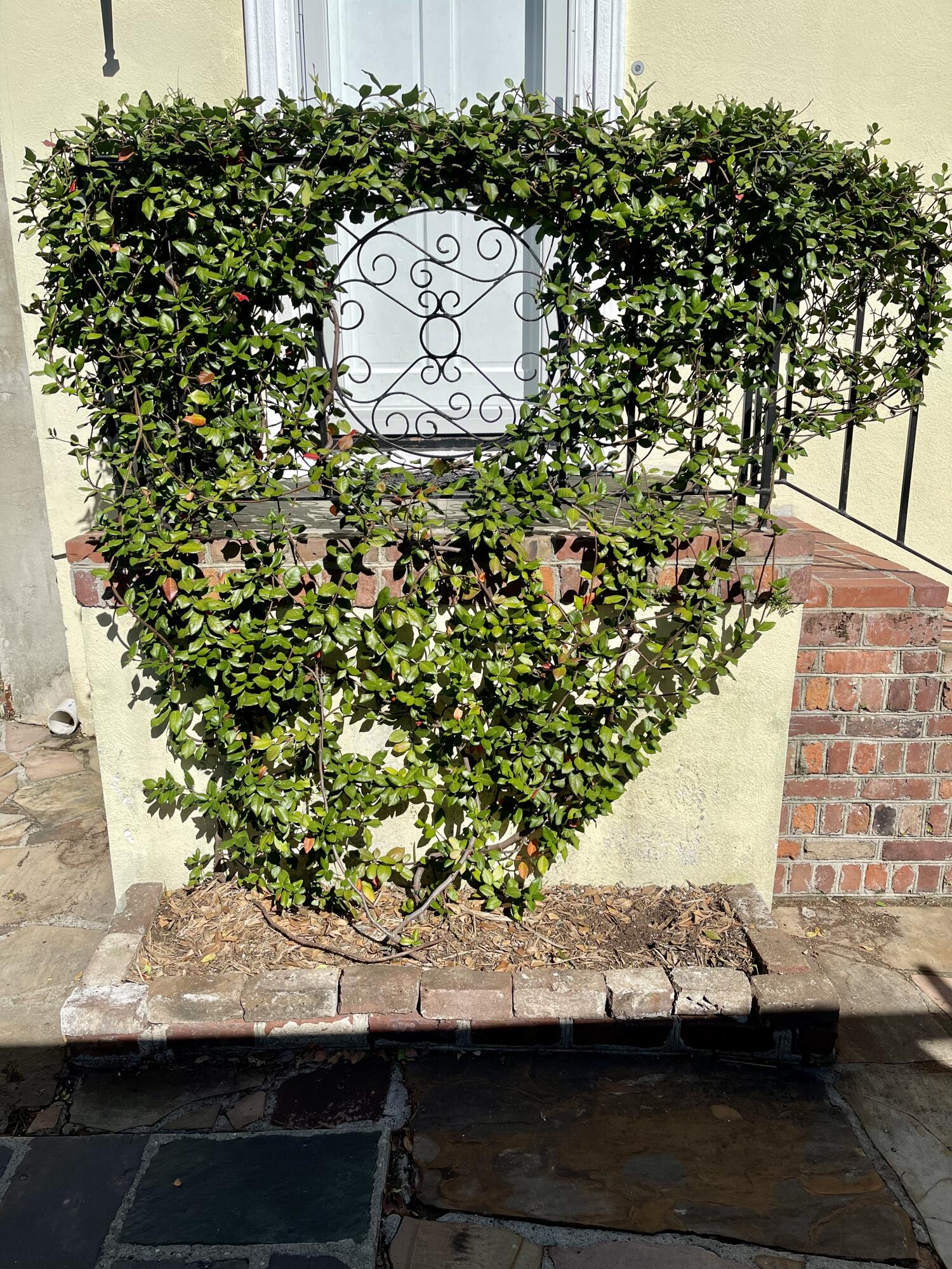 17 Rutledge Avenue, Unit 5 Charleston, SC 29401 - Photo 29 of 32 F8812591-35C8-4067-B54B-CCDB9DAE78A7