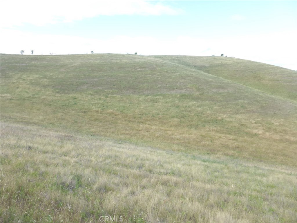 2750 Raptor Ridge Trail Templeton, CA 93465 - Photo 33 of 75