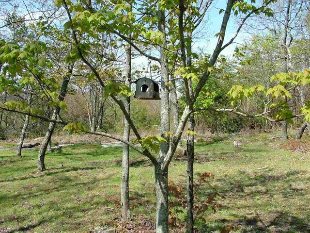 1345 Holloway Ridge Road Spring City, TN 37381 - Photo 20 of 39 20
