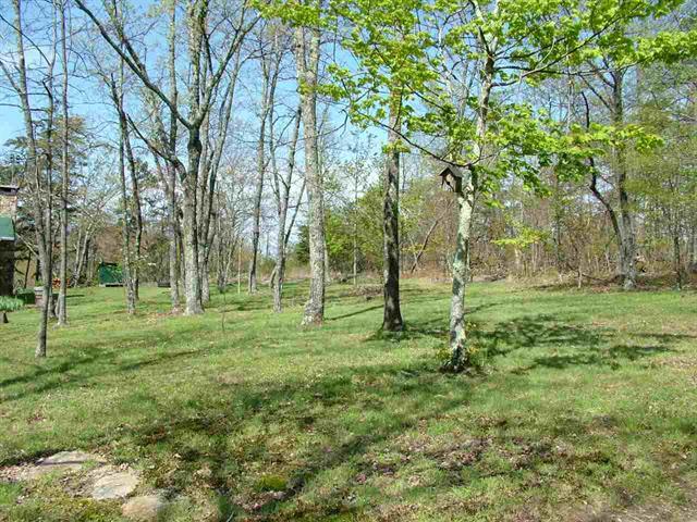 1345 Holloway Ridge Road Spring City, TN 37381 - Photo 3 of 39 3 front yard