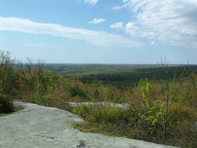 1345 Holloway Ridge Road Spring City, TN 37381 - Photo 21 of 39 21 view, view, view