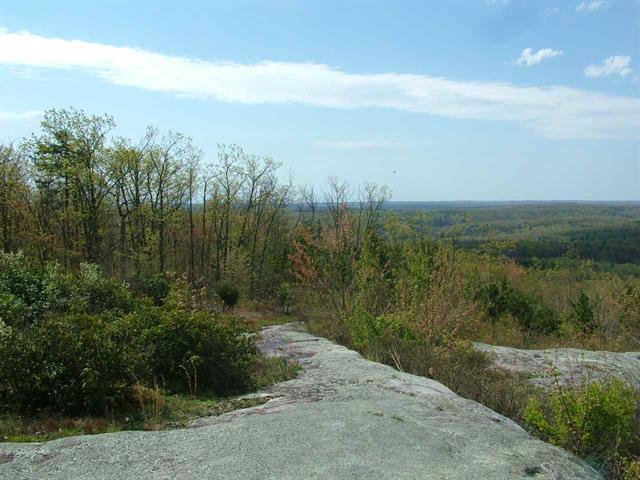 1345 Holloway Ridge Road Spring City, TN 37381 - Photo 22 of 39 22