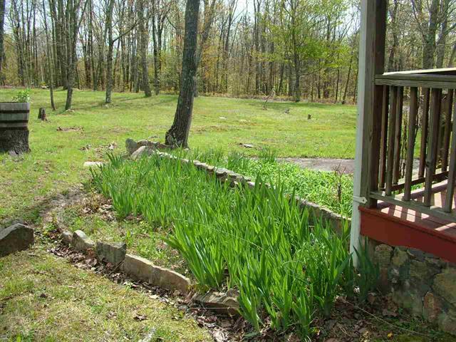 1345 Holloway Ridge Road Spring City, TN 37381 - Photo 29 of 39 29