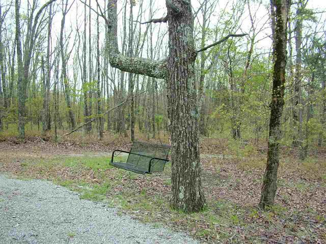 1345 Holloway Ridge Road Spring City, TN 37381 - Photo 33 of 39 33