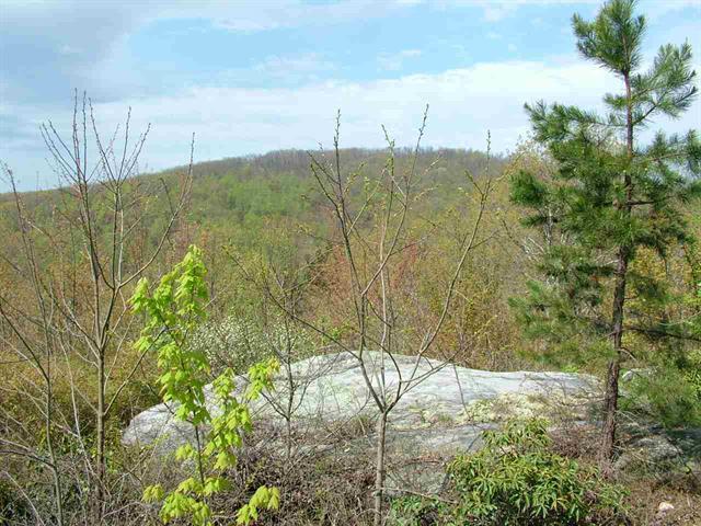 1345 Holloway Ridge Road Spring City, TN 37381 - Photo 34 of 39 34