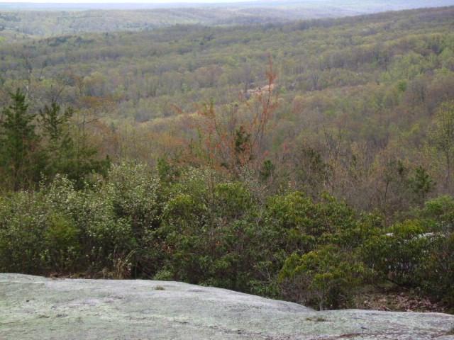 1345 Holloway Ridge Road Spring City, TN 37381 - Photo 35 of 39 35