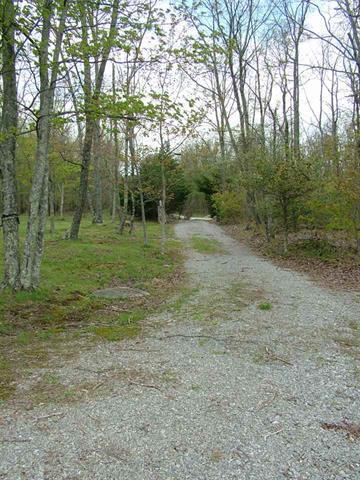 1345 Holloway Ridge Road Spring City, TN 37381 - Photo 38 of 39 38
