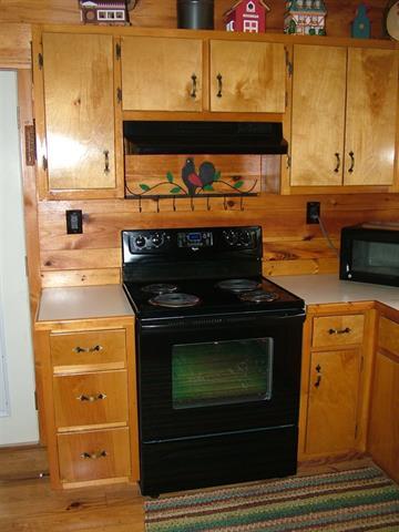 1345 Holloway Ridge Road Spring City, TN 37381 - Photo 8 of 39 8 appliances stay