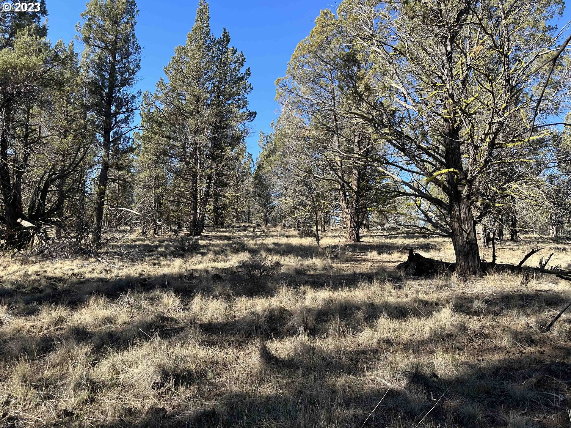 Fishhole Creek Road, Unit 1300 Bly, OR 97622 - Photo 3 of 13 Gallery Image 3