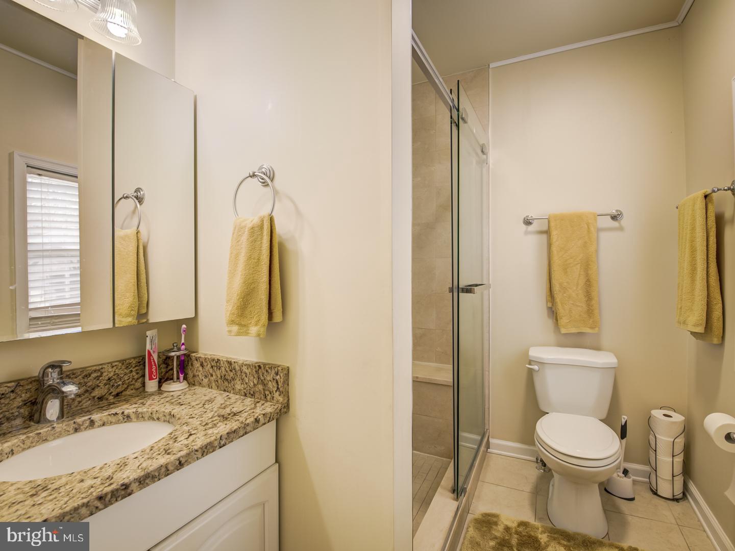 19400 White Ground Road Boyds, MD 20841 - Photo 37 of 59 a bathroom with a granite countertop toilet sink and shower