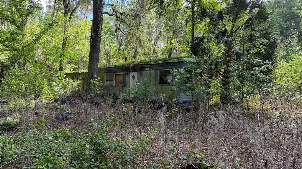 8108 Southwest County Road 346 Archer, FL 32618 - Photo 3 of 7 a view of backyard with green space