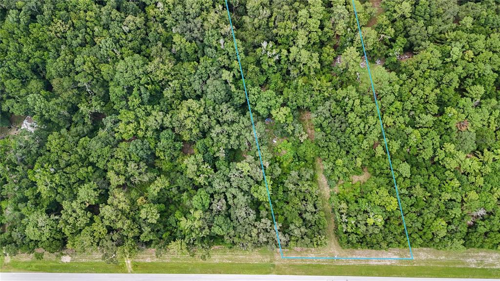 8108 Southwest County Road 346 Archer, FL 32618 - Photo 3 of 4 a view of a yard with a plants