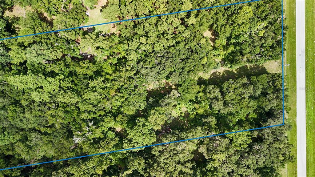 8108 Southwest County Road 346 Archer, FL 32618 - Photo 4 of 4 a view of a lush green forest