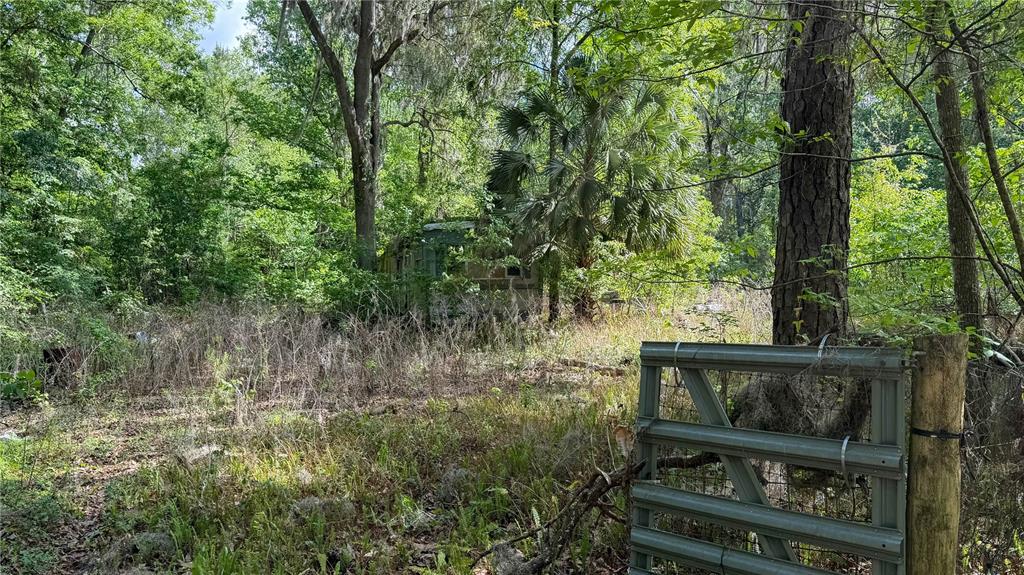8108 Southwest County Road 346 Archer, FL 32618 - Photo 5 of 7 a view of outdoor space and garden