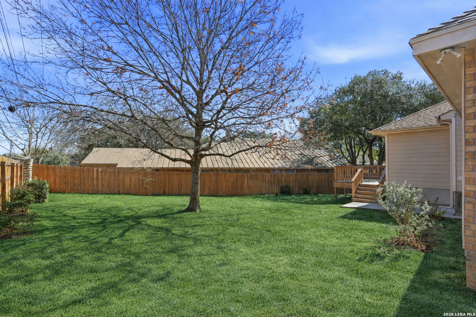 8814 Spanish Moss Windcrest, TX 78239 - Photo 43 of 50 a view of a back yard