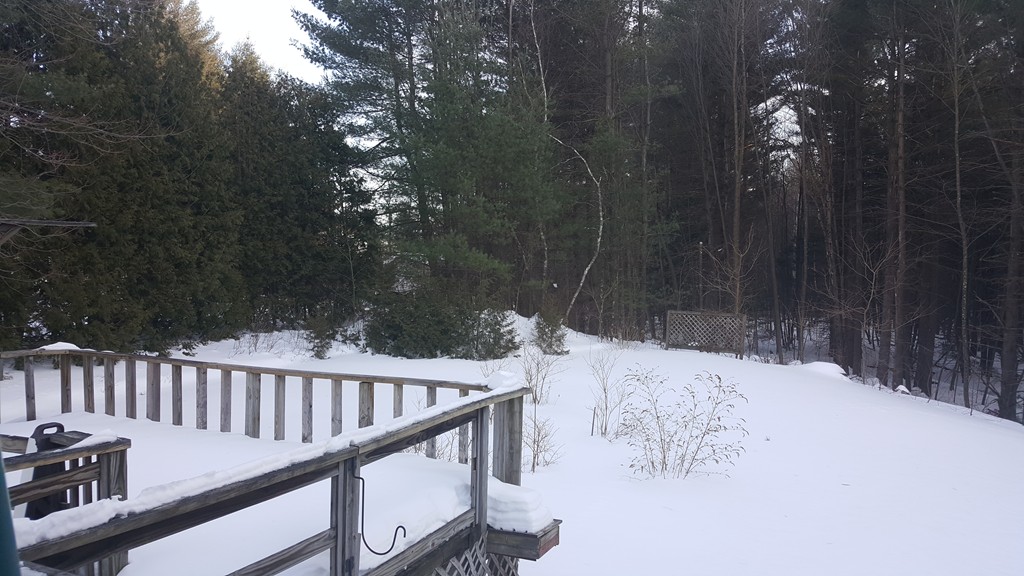 265 N Road Westfield, MA 01085 - Photo 5 of 18
