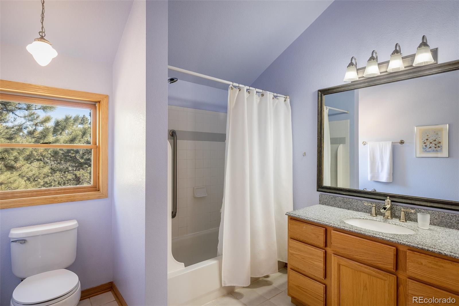 2163 Roland Drive Bailey, CO 80421 - Photo 17 of 40 Gallery Image 17