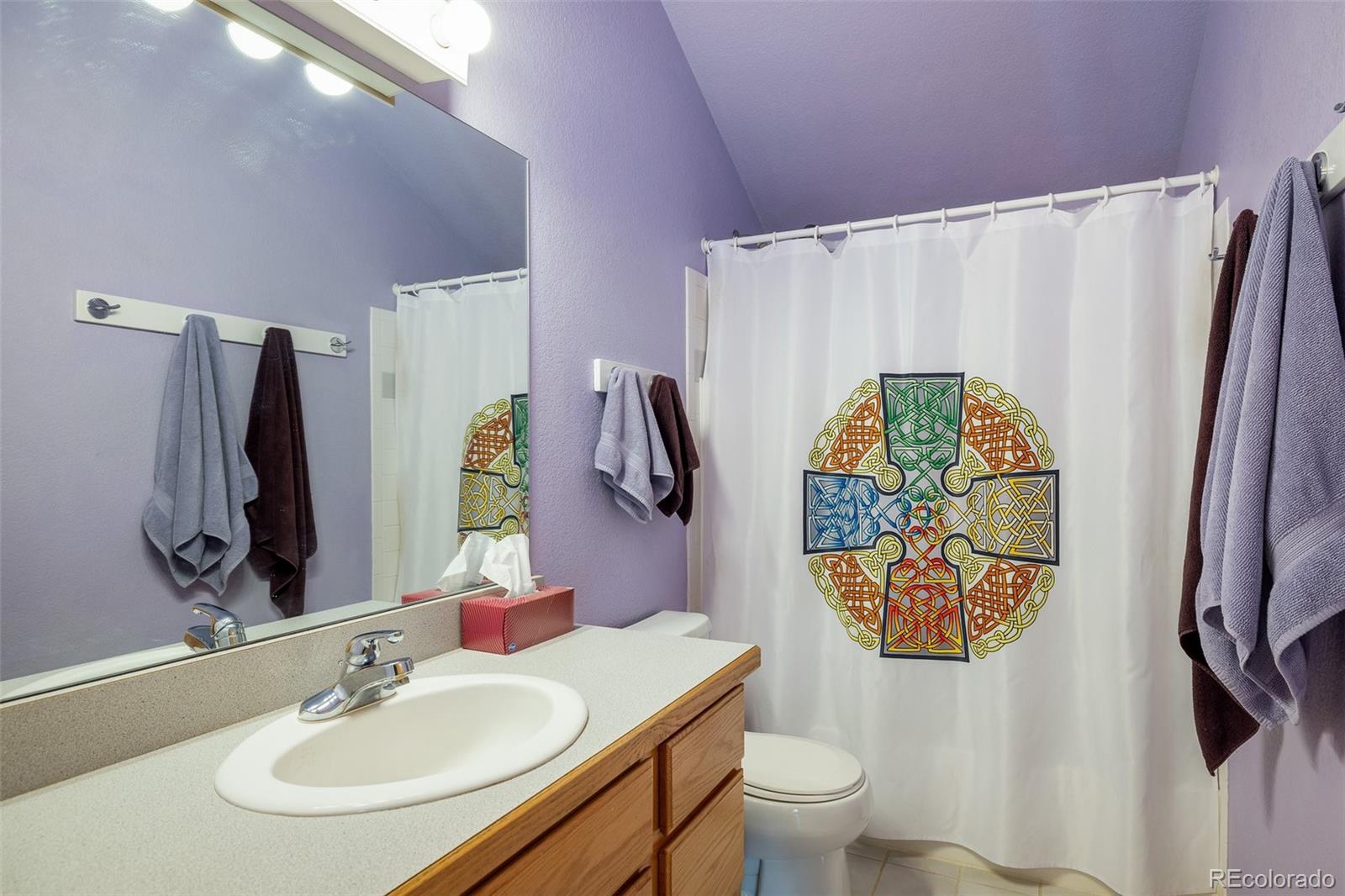2163 Roland Drive Bailey, CO 80421 - Photo 21 of 40 Gallery Image 21
