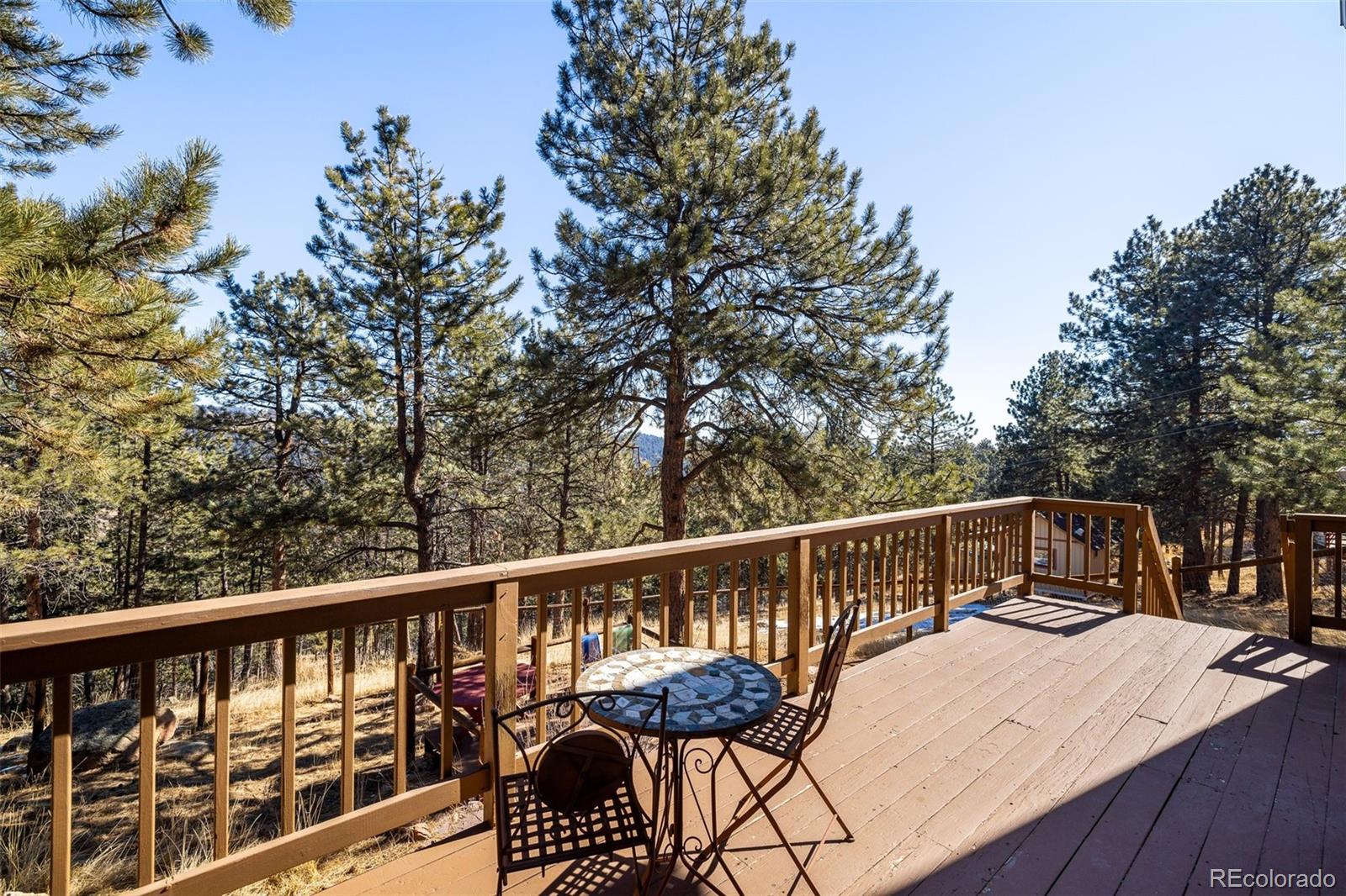 2163 Roland Drive Bailey, CO 80421 - Photo 22 of 40 Gallery Image 22