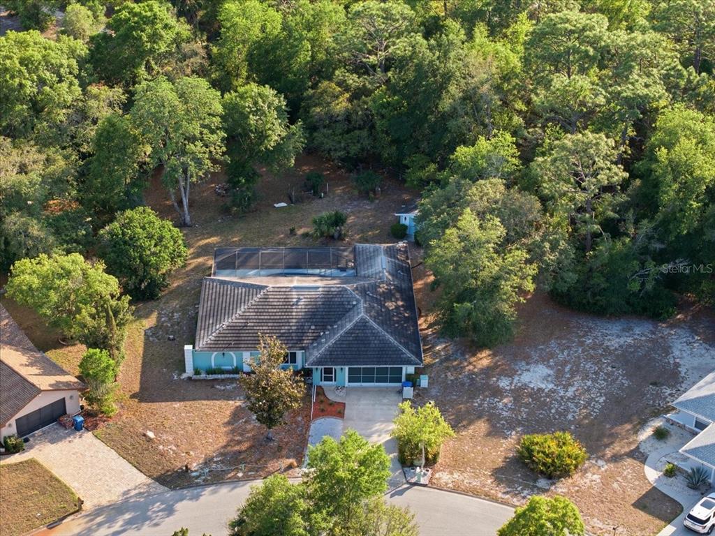 8370 Windridge Way Weeki Wachee, FL 34613 - Photo 3 of 45