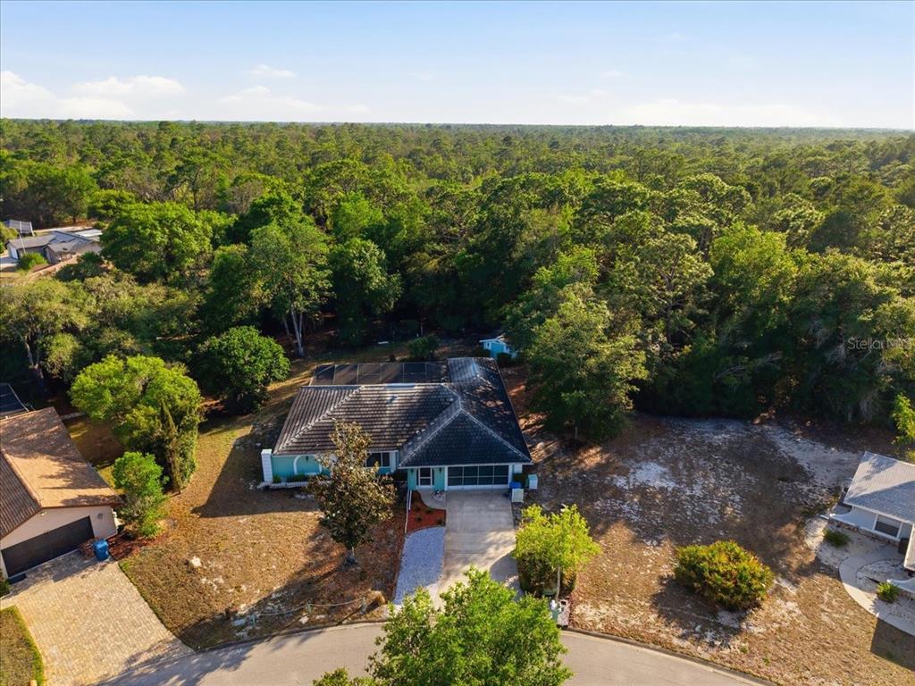 8370 Windridge Way Weeki Wachee, FL 34613 - Photo 4 of 45