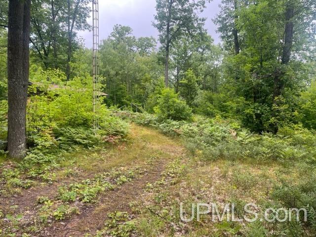 565 County Road 565 Road Gwinn, MI 49841 - Photo 18 of 35