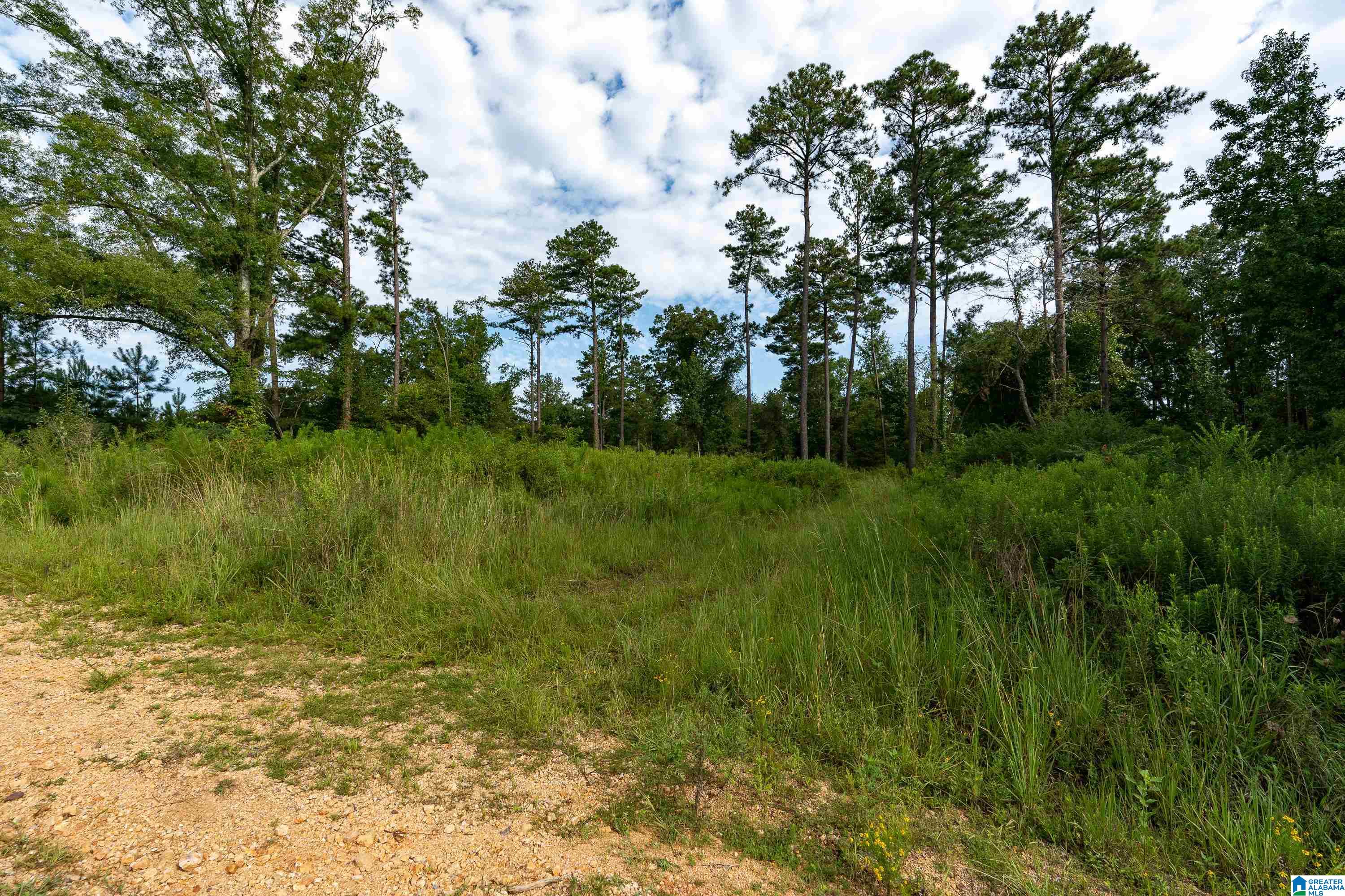 1062 Nixon Road Bessemer, AL 35022 - Photo 6 of 13