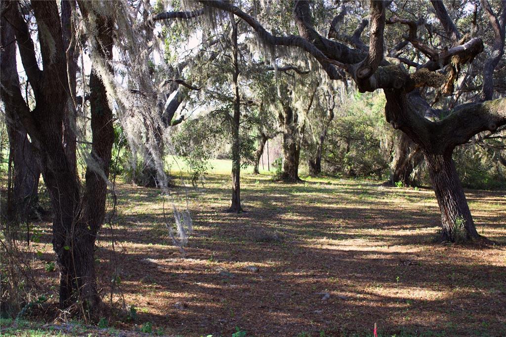 Ridge Road, Unit 47 Tavares, FL 32778 - Photo 25 of 41