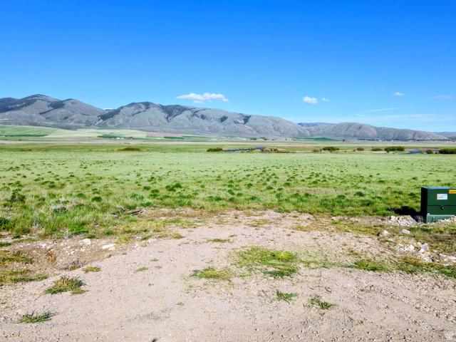 Expansive open land featuring green vegetation and distant mountains under a clear sky