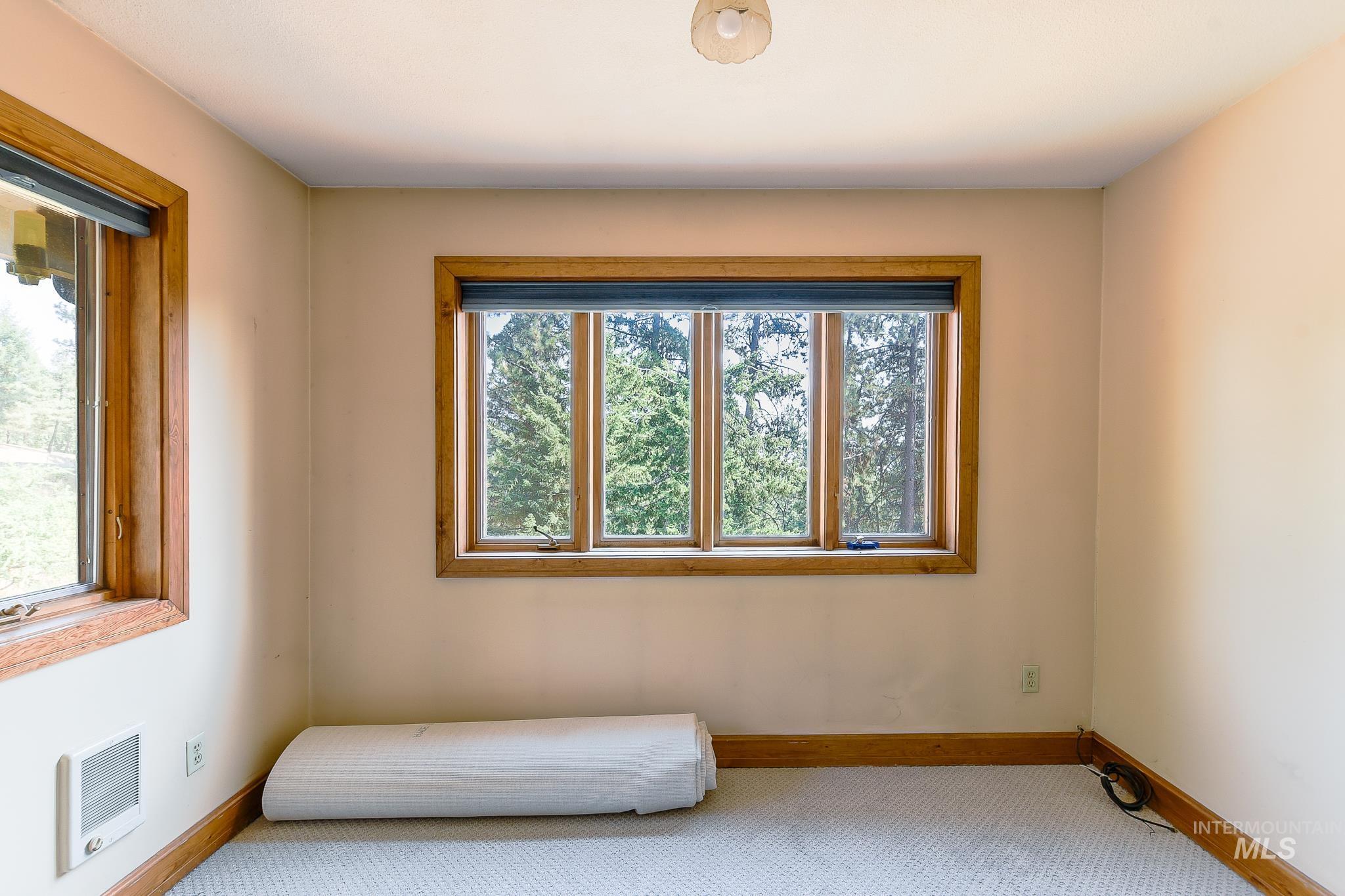 1045 Joyce Road Moscow, ID 83843 - Photo 32 of 50 Multiple windows with natural wood trim, wall-to-wall carpeting, and a ceiling-mounted light fixture