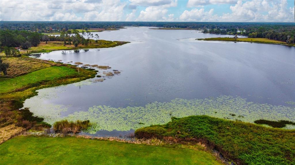 2309 McBride Road Seville, FL 32190 - Photo 5 of 35