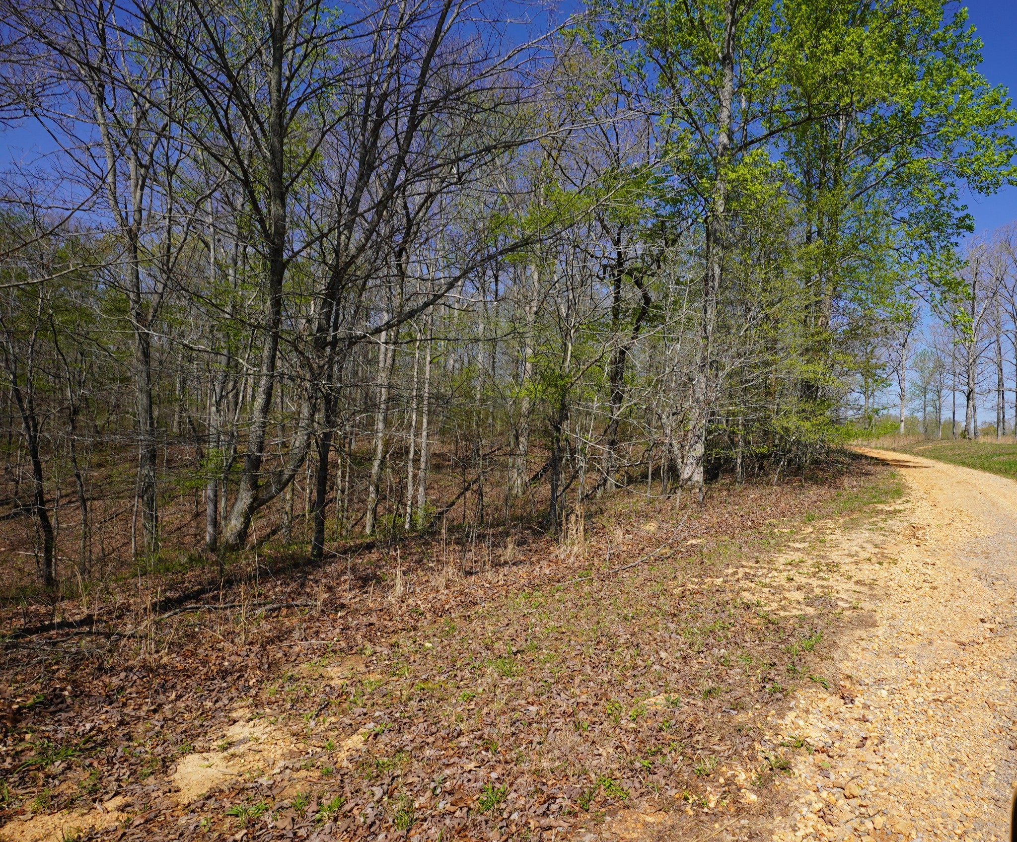 0 Bill Brake Road Dover, TN 37058 - Photo 8 of 20 Gallery Image 8