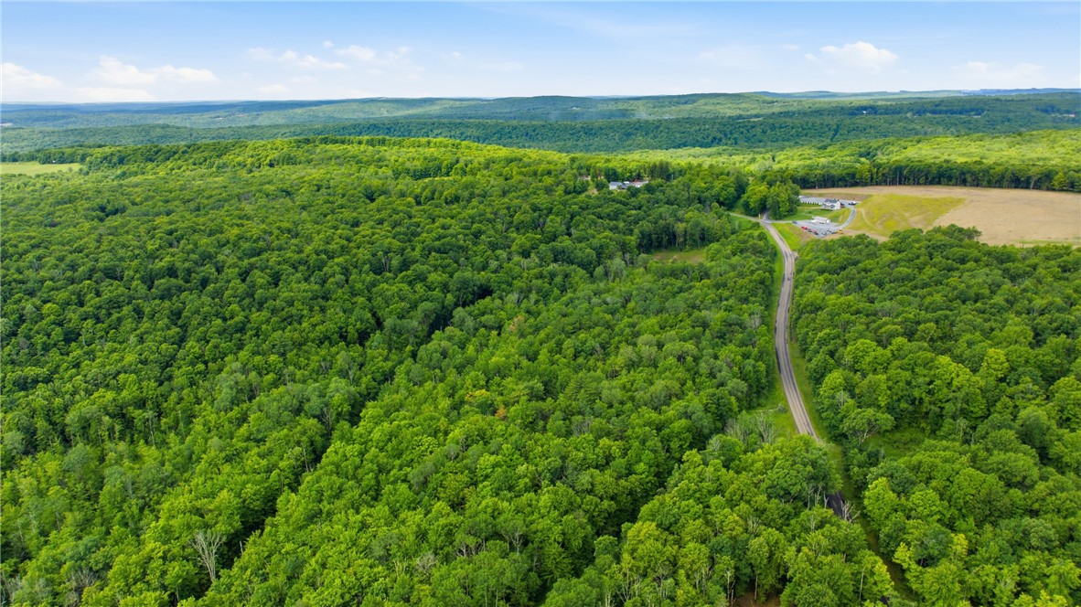 Dunn Road Pine Valley, NY 14872 - Photo 13 of 14